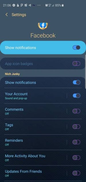 Screenshot_20190602-210632_Settings.jpeg