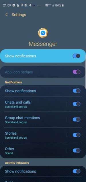Screenshot_20190602-210929_Settings.jpeg