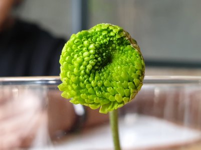 20190604_162856.jpg