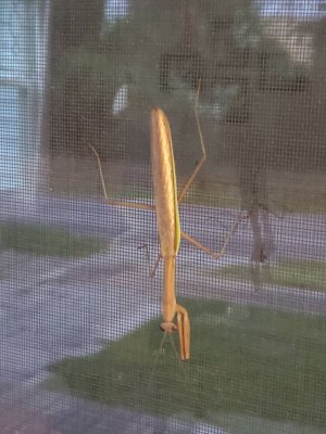 20190829_063239.jpeg
