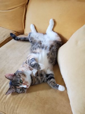 20190818_120903.jpeg