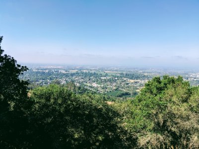 IMG_20190817_091938.jpg