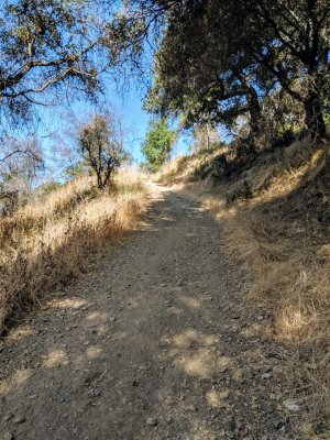 IMG_20190817_091639.jpg