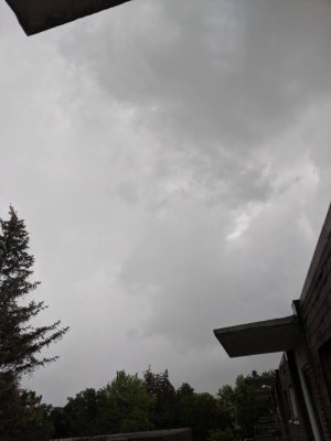 46049.jpg