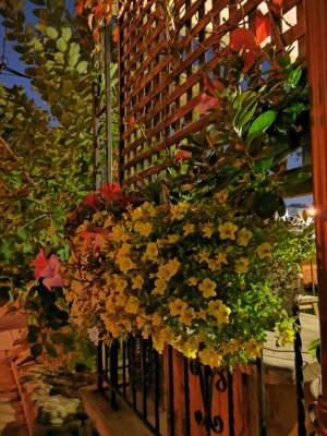 IMG_20190921_221115.jpg