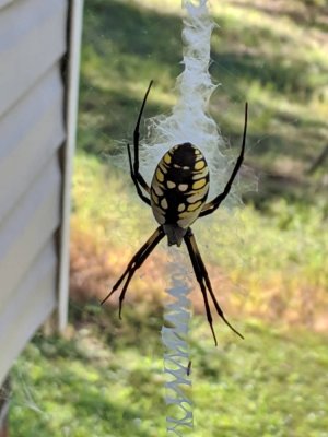 IMG_20190829_100510.jpeg