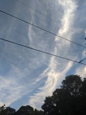 46743.jpg