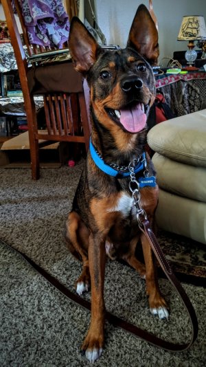 Wally 2019-08.jpg