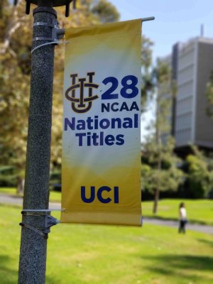 banner.jpg