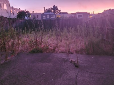 20190830_200625.jpg