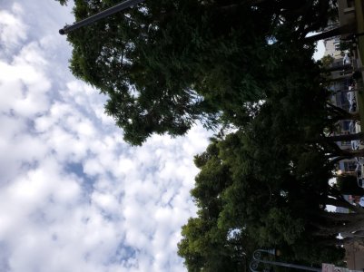 20190925_170839.jpg