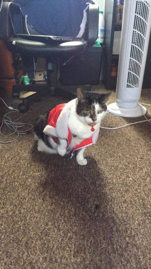 received_549510379122356.jpeg