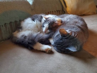 20191204_163434.jpeg