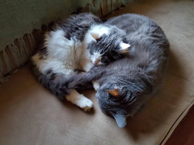 20191204_163402.jpeg
