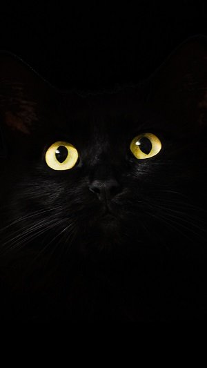 1567417198-dark0072.jpg 1567417198-dark0072.jpg