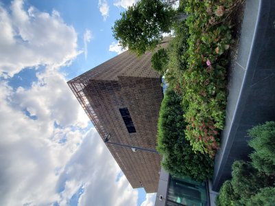 20190902_152255.jpg
