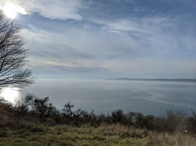 IMG_20191206_115338.jpg