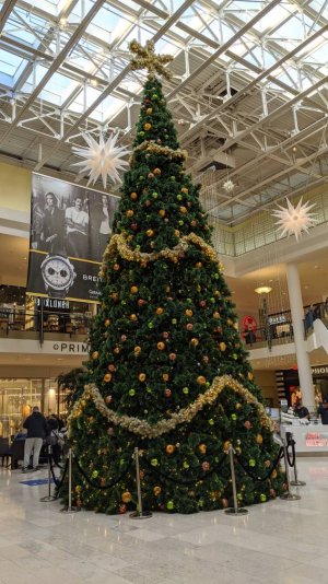 IMG_20191207_135200.jpeg