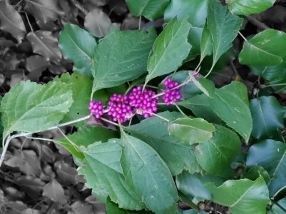 20190929_185951.jpg