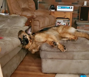 20190929_215956.jpg