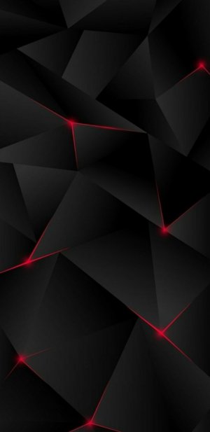 2c6ef6d6ff29ce06bfa9f7becdf2730a.jpg