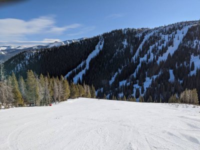 IMG_20191207_100030.jpeg