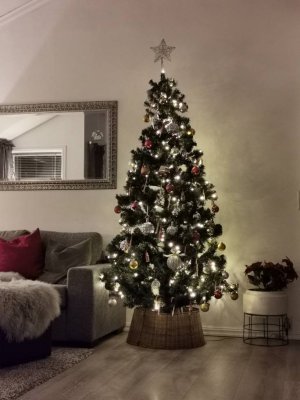 IMG_20191208_162727.jpeg