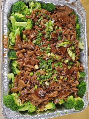 Broc B.jpg