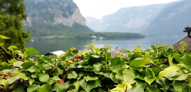 20190824_131950.jpg
