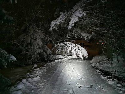 IMG_20191209_175812.jpeg