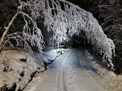 IMG_20191209_173842.jpeg