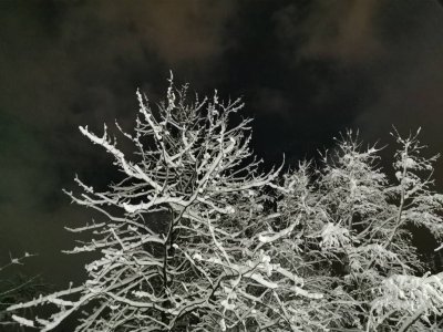 IMG_20191209_173911.jpeg