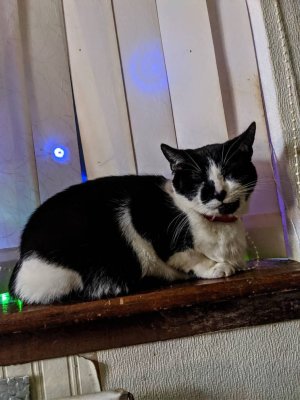 IMG_20191211_070257.jpeg