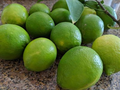 Lime.jpg