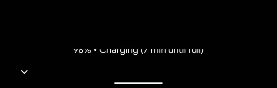 295702.jpg