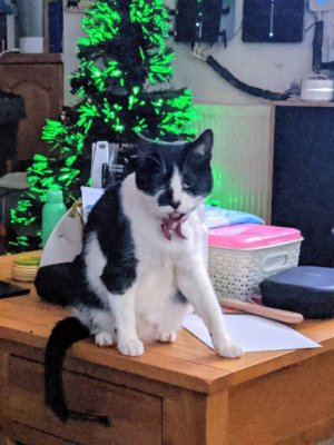 IMG_20191213_082531_MP.jpeg