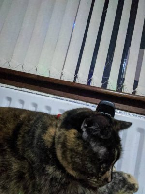 IMG_20191214_164636_02_01.jpeg