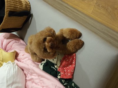 20191215_195333.jpg
