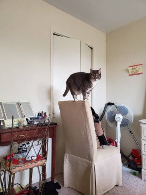 20191215_151727.jpeg