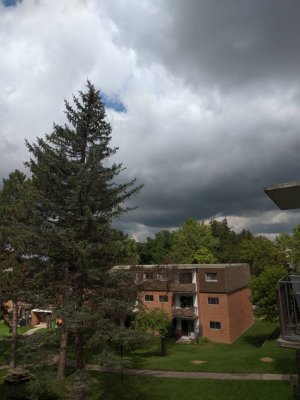 46565.jpg