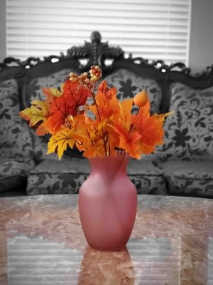 20191005_112311.jpg