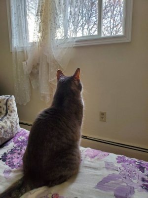 20191215_151927.jpeg