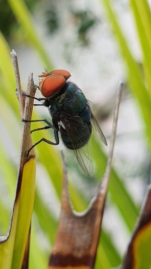 20191003_204024.jpg