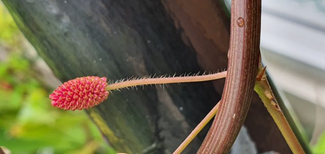 20191003_152425.jpg