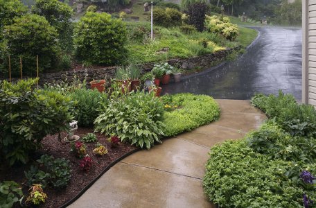 during downpour.jpg