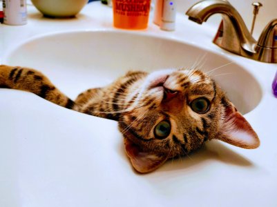 20191214_133450.jpg