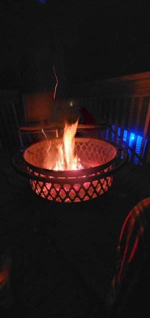 20190907_212241.jpeg