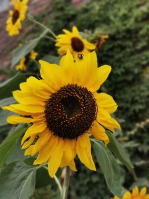 IMG_20191005_171745.jpg