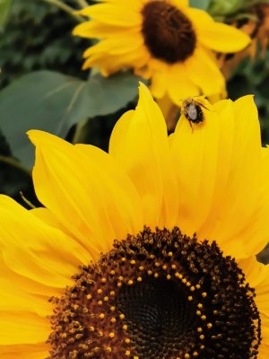 IMG_20191005_171811.jpg