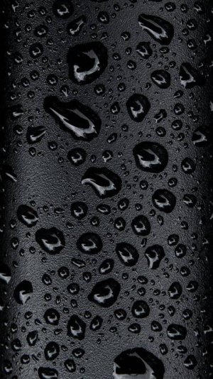 319f8b0.jpg